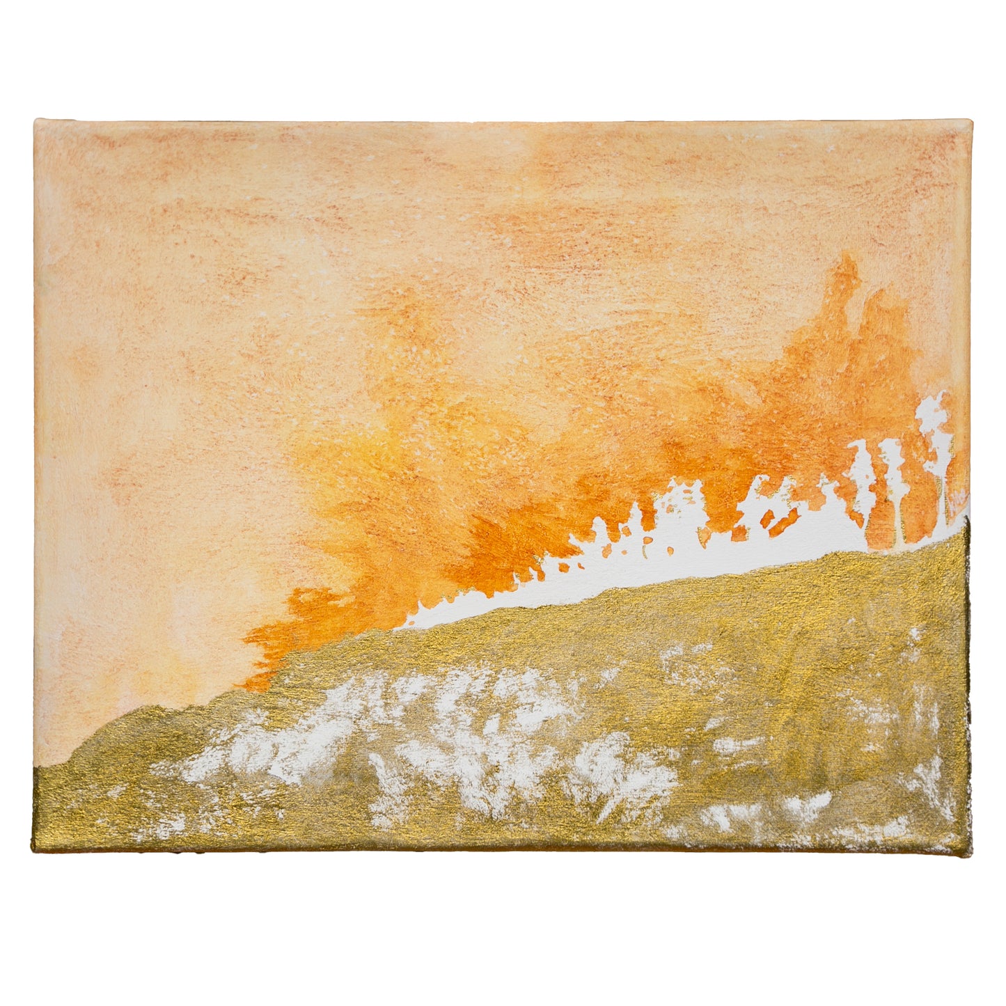 Gold Meadow