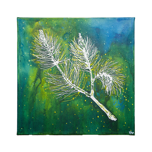 White Pine